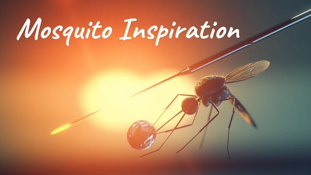 No Pain, All Gain: Mosquito-Inspired Needles!
